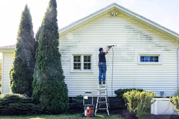 Best Soft Washing  in Hickory Hls, IL